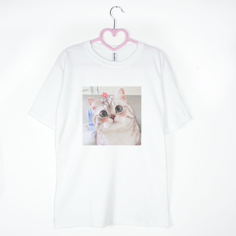 koszulka biała lol kitty